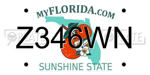 Z346WN Florida License Plate