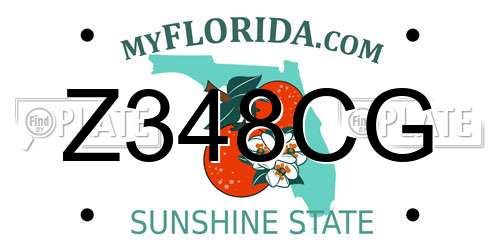 Z348CG Florida License Plate