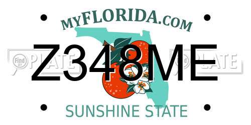 Z348ME Florida License Plate