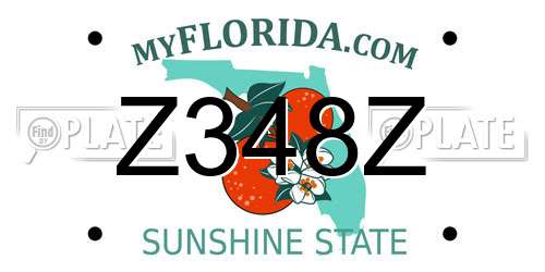Z348Z Florida License Plate