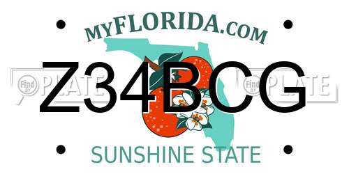 Z34BCG Florida License Plate