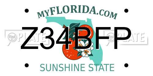 Z34BFP Florida License Plate
