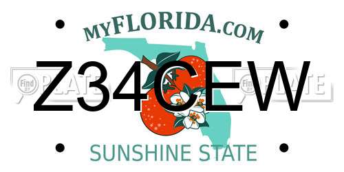 Z34CEW Florida License Plate