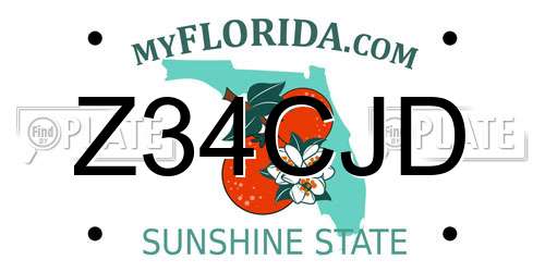 Z34CJD Florida License Plate