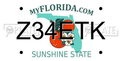 Z34ETK Florida License Plate
