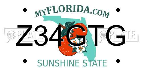 Z34GTG Florida License Plate