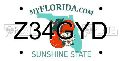 Z34GYD Florida License Plate