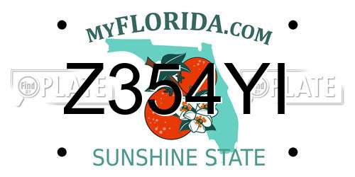 Z354YI Florida License Plate