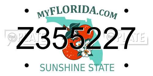 Z355227 Florida License Plate