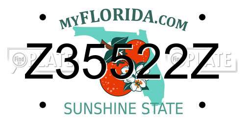Z35522Z Florida License Plate