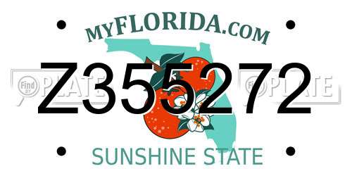 Z355272 Florida License Plate