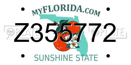 Z355772 Florida License Plate