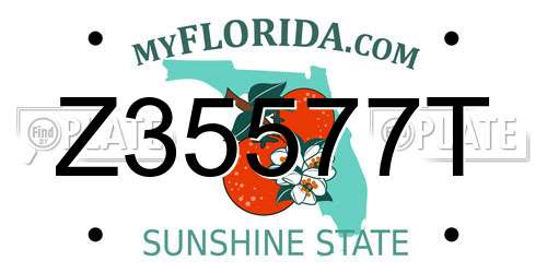 Z35577T Florida License Plate