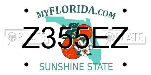 Z355EZ Florida License Plate