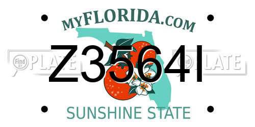 Z3564I Florida License Plate