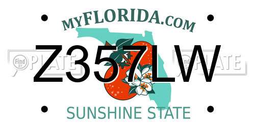Z357LW Florida License Plate
