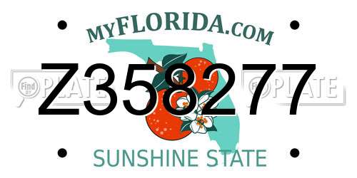 Z358277 Florida License Plate