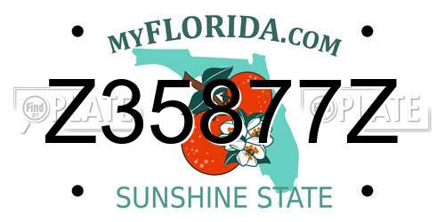 Z35877Z Florida License Plate