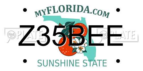 Z35BEE Florida License Plate