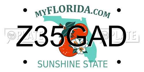 Z35GAD Florida License Plate