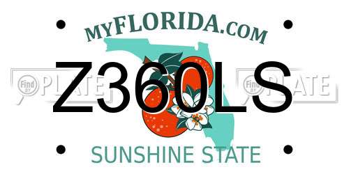Z360LS Florida License Plate