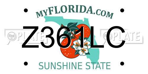 Z361LC Florida License Plate