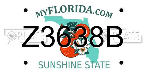 Z3638B Florida License Plate