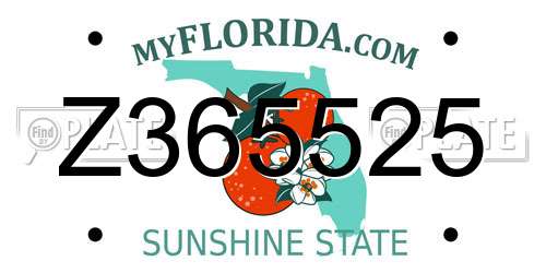 Z365525 Florida License Plate