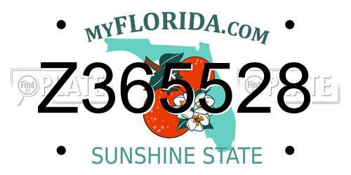 Z365528 Florida License Plate