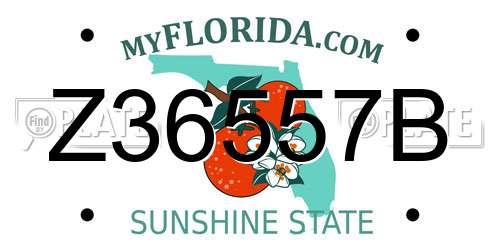 Z36557B Florida License Plate
