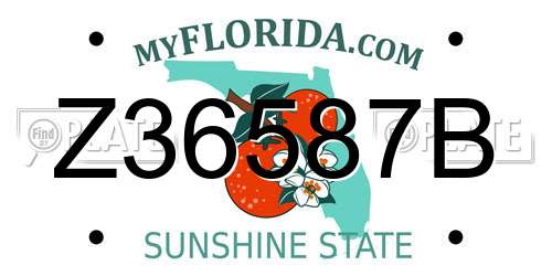 Z36587B Florida License Plate