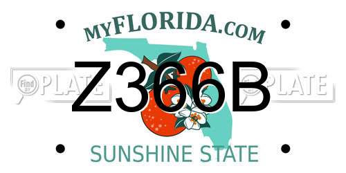 Z366B Florida License Plate