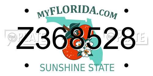 Z368528 Florida License Plate