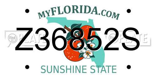 Z36852S Florida License Plate