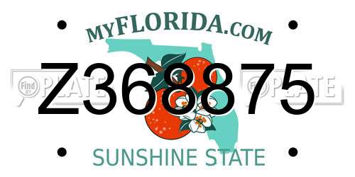 Z368875 Florida License Plate