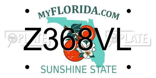 Z368VL Florida License Plate