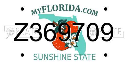 Z369709 Florida License Plate
