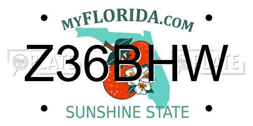 Z36BHW Florida License Plate