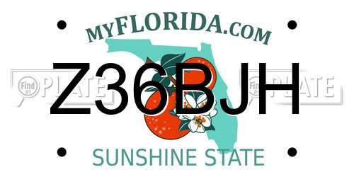 Z36BJH Florida License Plate