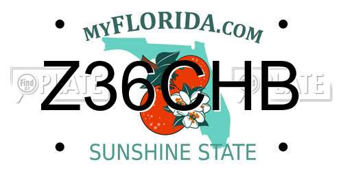 Z36CHB Florida License Plate