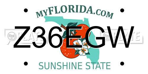 Z36EGW Florida License Plate