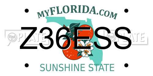 Z36ESS Florida License Plate