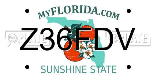 Z36FDV Florida License Plate