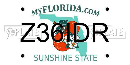 Z36IDR Florida License Plate