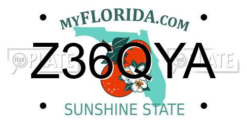 Z36QYA Florida License Plate