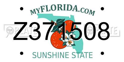 Z371508 Florida License Plate