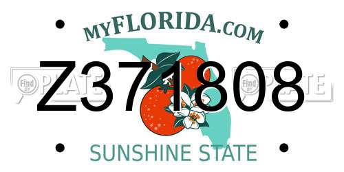 Z371808 Florida License Plate