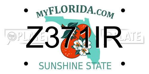Z371IR Florida License Plate