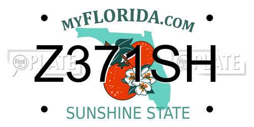 Z371SH Florida License Plate