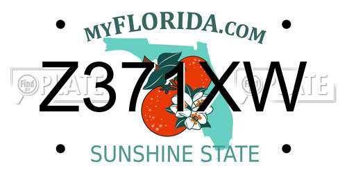 Z371XW Florida License Plate